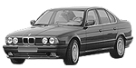 BMW E34 B194C Fault Code