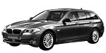 BMW F11 B194C Fault Code
